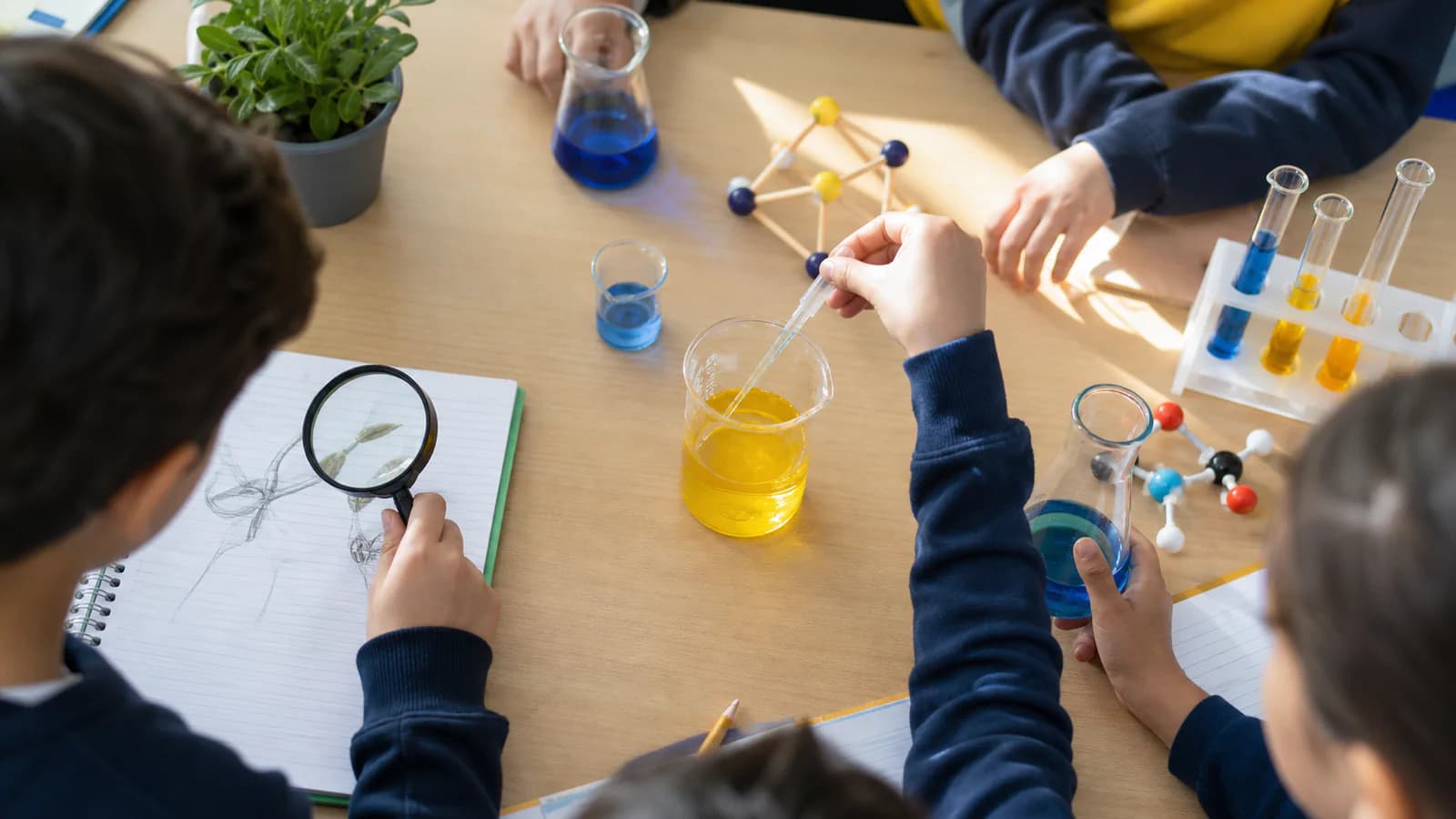 Science Day